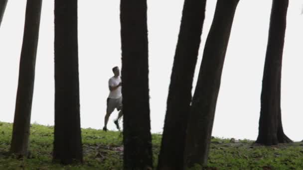 Hombre corriendo entre los árboles — Vídeos de Stock