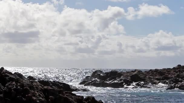 Golven storten neer op de kust — Stockvideo