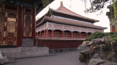 kadın şemsiye yürüme