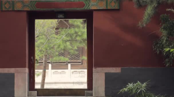 亚洲油纸伞的女人 — 图库视频影像