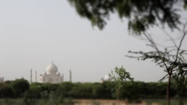 Avlägsen utsikt över Taj Mahal — Stockvideo