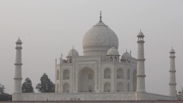 Verre uitzicht op de Taj Mahal — Stockvideo