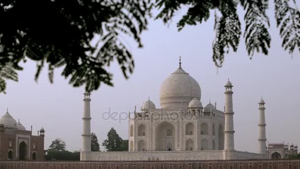 Verre uitzicht op de Taj Mahal — Stockvideo