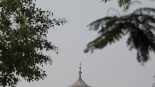 Vista à distância de Taj mahal — Vídeo de Stock