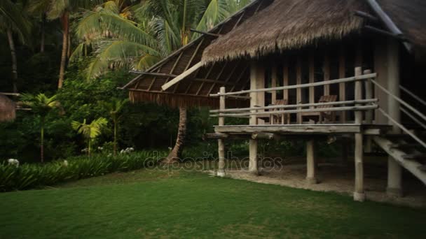 Yeşilliklerle çevrili thatched villalar — Stok video