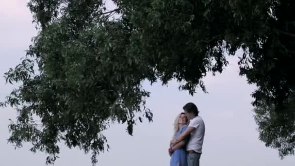 Пара захоплюється під деревом — стокове відео