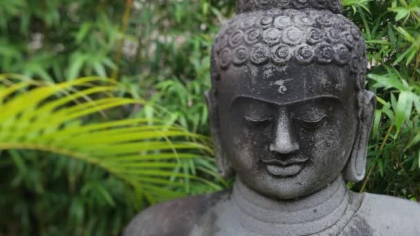 Buddhastaty omgiven av växter — Stockvideo