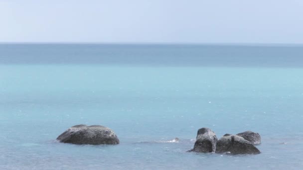 Wasser fließt um Felsen — Stockvideo