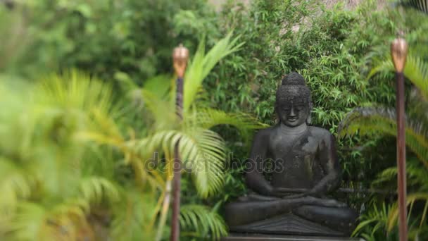 Estatua de Buda rodeada de plantas — Vídeos de Stock