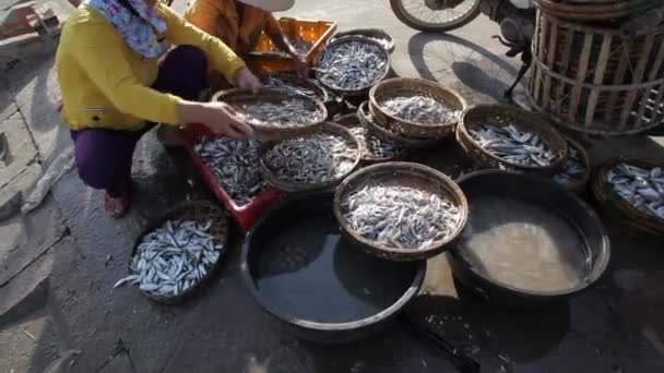 Kvinde sælger fisk ved siden af vejen – Stock-video