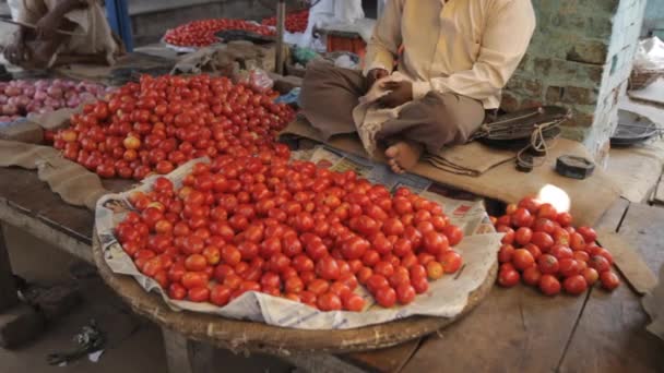 Homem que vende tomates no mercado / Índia — Vídeo de Stock