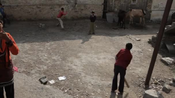 Niños jugando cricket en el patio trasero — Vídeo de stock