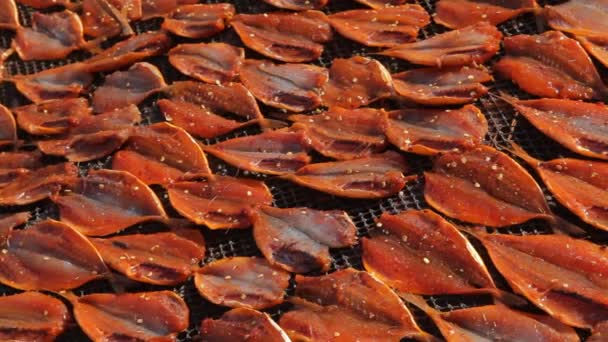Ryby sušení na slunci — Stock video