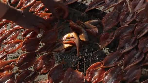 Mujer Laying Fish out on Beach to Dry — Vídeos de Stock