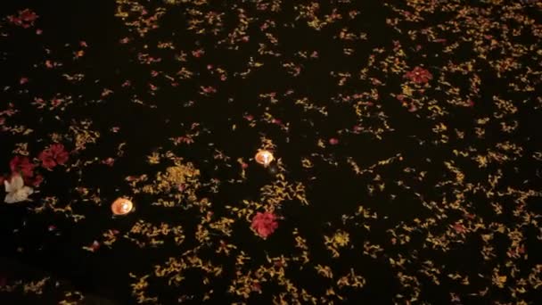 Освітлені пропозицій плавучий вниз річка Ганг — стокове відео