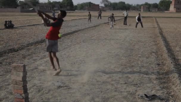 Niños jugando al críquet en el campo de la suciedad — Vídeo de stock