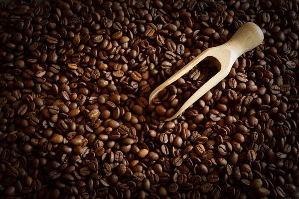 Scattered coffee beans — Stock Photo, Image