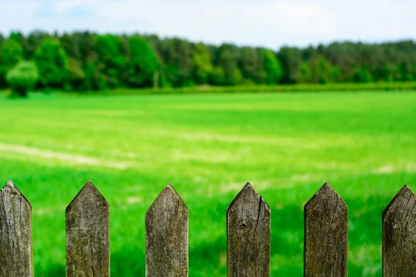 Spring meadow with old wooden fence — Stock Photo, Image