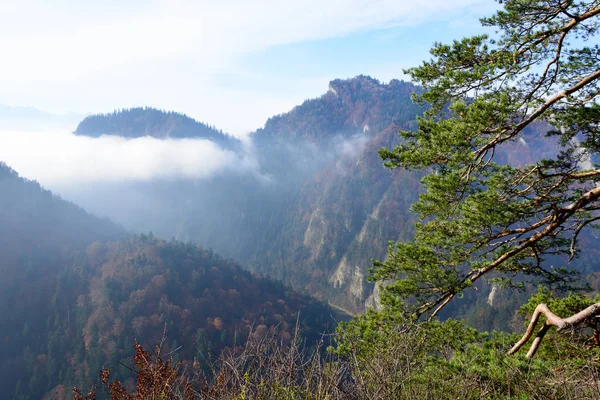 Sokolica dağın Pieniny içinde görüntülemek — Stok fotoğraf