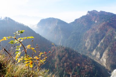 Sokolica dan dağ manzarası
