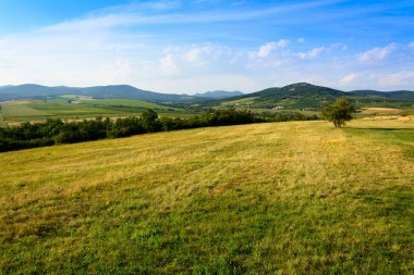Hercegkut, Sarospatak, Macaristan yakınında yeşil tepeler