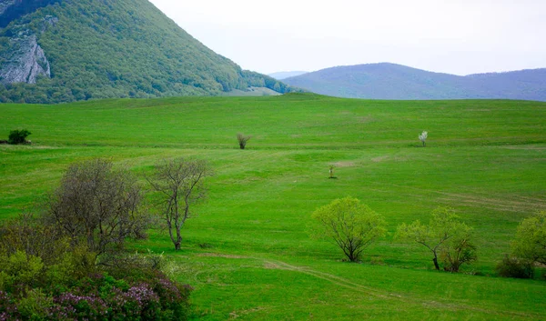 Slovak Karst hills, Slovakia — Stock Photo, Image