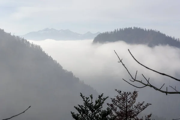 Morning mist in Pieniny mountains in Poland — Stock Photo, Image