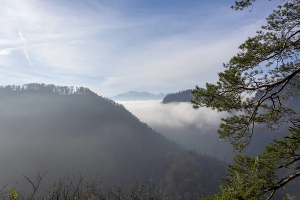 Morgondimman i Pieniny bergen i Polen — Stockfoto