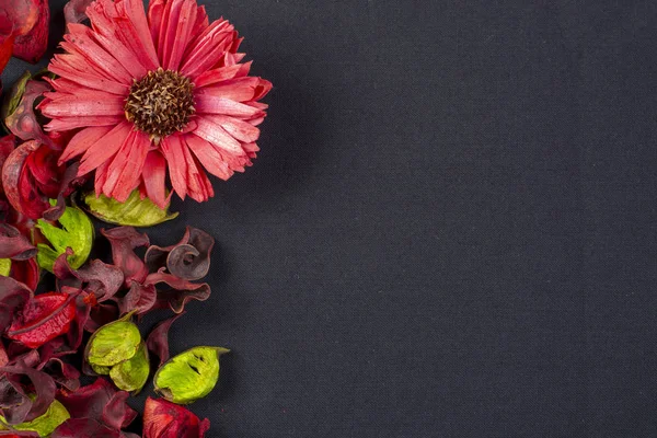 Potpourri dried flowers with copy space — Stock Photo, Image