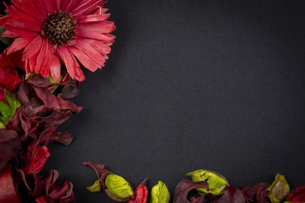 Potpourri fleurs séchées avec espace de copie — Photo