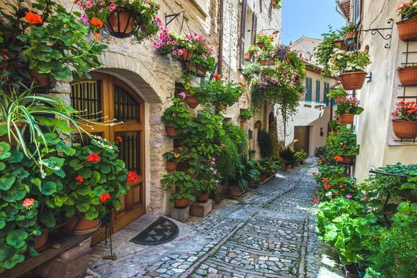 Spello และร้านอาหารและถนนของเมืองอิตาลีที่สวยงาม รูปภาพสต็อก