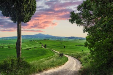 Tuscan kırsal manzara yerde