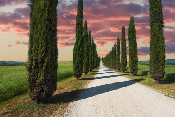 Vert Printemps Toscane sur un fond bleu ciel — Photo