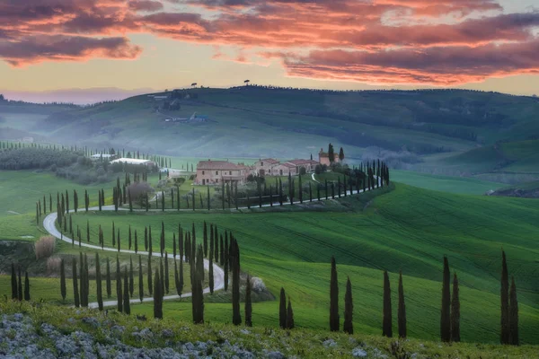 Bidang perjalanan magis Tuscany — Stok Foto