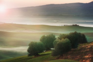 Sis Tuscan üzerinde yatay, ağaçlar