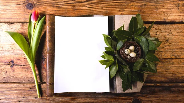 Menú de Pascua en una mesa de madera decorada con huevos y flores frescas — Foto de Stock