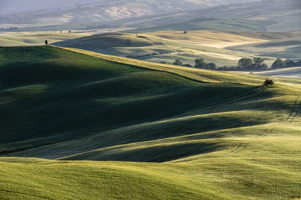 Yeşil çimenlerin üzerinde eteklerindeki Tuscan meadows. — Stok fotoğraf