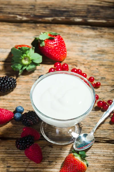 BIO натуральный йогурт со свежими фруктами в миске . — стоковое фото