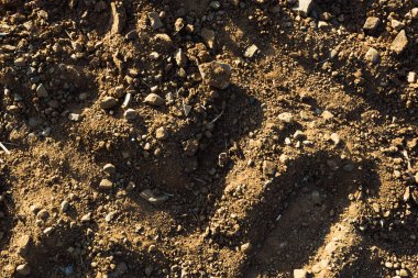 Gölge ve ışık ile karanlık toprak