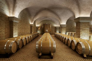 iri sayı-in Tuscany şarap mahzeninde varil