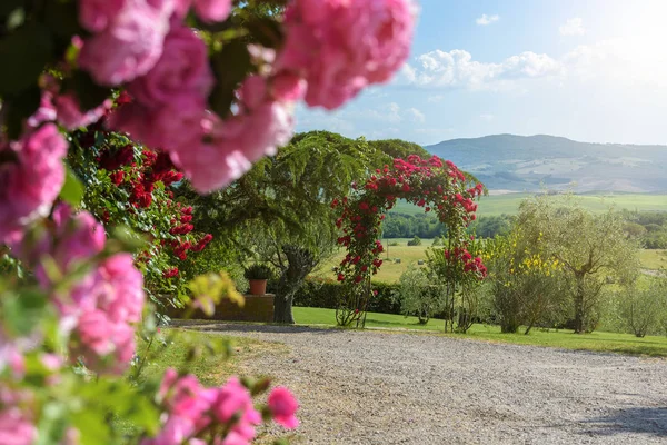 Casa de flores colorida em um campo muito elegante na Itália . — Fotografia de Stock