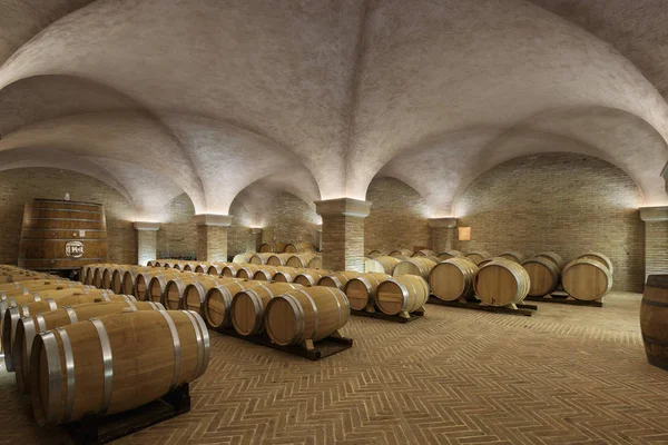 Stort antal fat i vinkällaren i Toscana — Stockfoto