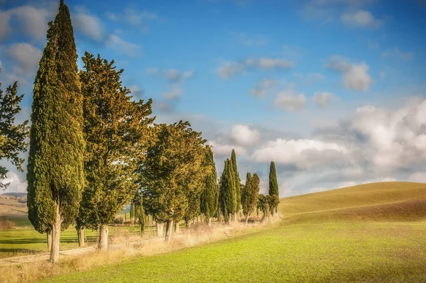 Caminos Rurales Toscanos Con Cipreses Con Cielo Azul Nublado Fondo — Foto de Stock