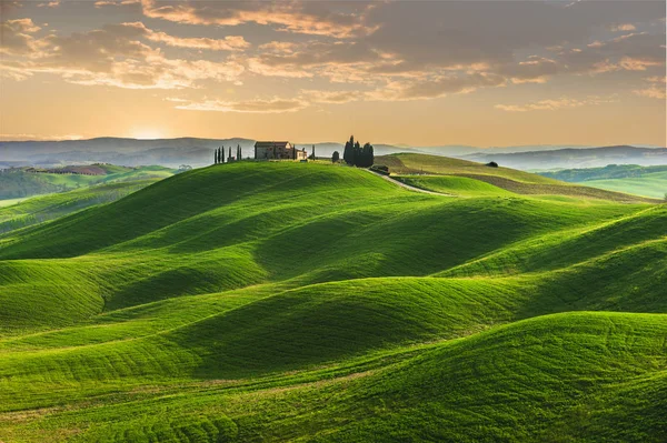 Lente Velden Van Toscane Bij Zonsondergang — Stockfoto