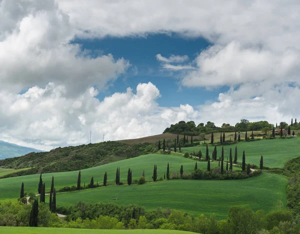 Paisajes verdes de primavera cubiertas de hierba con árboles —  Fotos de Stock