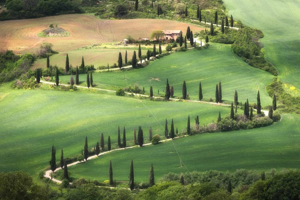 Paisagens verdes de primavera gramada com árvores — Fotografia de Stock