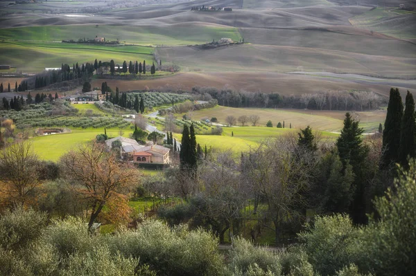 Alberi Selvatici Mezzo Bellissimi Campi Fattorie — Foto Stock