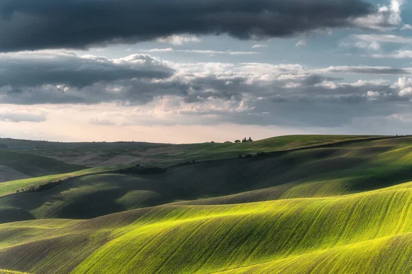 Campi Splendidamente Illuminati Sotto Sole Primaverile — Foto Stock