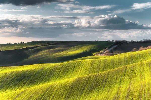 Schön Beleuchtete Felder Der Frühlingssonne — Stockfoto
