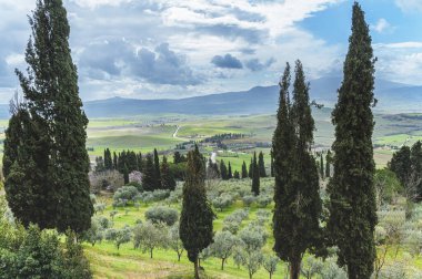 Yağmurlu bir günde güzel şehir Pienza, Toskana 'nın sokaklarında yürü.